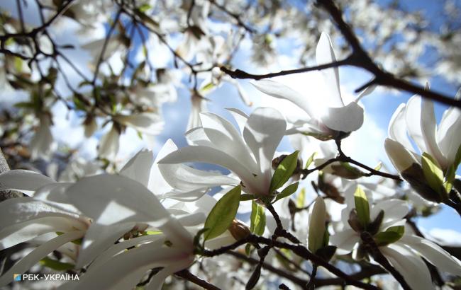 "Суббота будет солнечной": синоптик рассказала о погоде на ближайшие дни