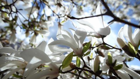 Погода на сьогодні: на заході України дощі, температура до +24