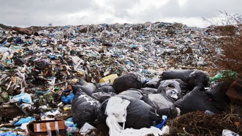 Дослідники з'ясували, скільки українці викидають їжі на свята: сума вас вразить