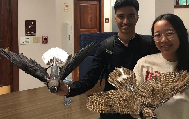 Это шокирует: американские ученые создают дроны-зомби из птиц