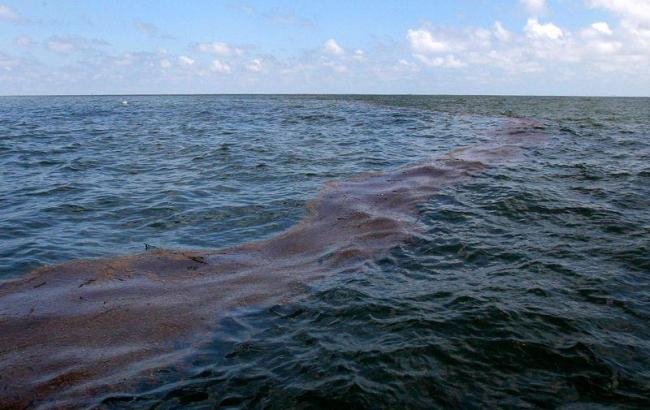 Вблизи Мариуполя турецкое судно разлило нефть в Азовское море