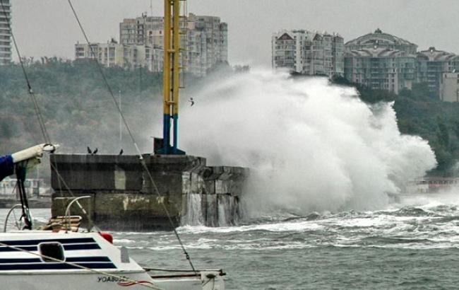 В Одессе бушует стихия: деревья падают на авто и людей