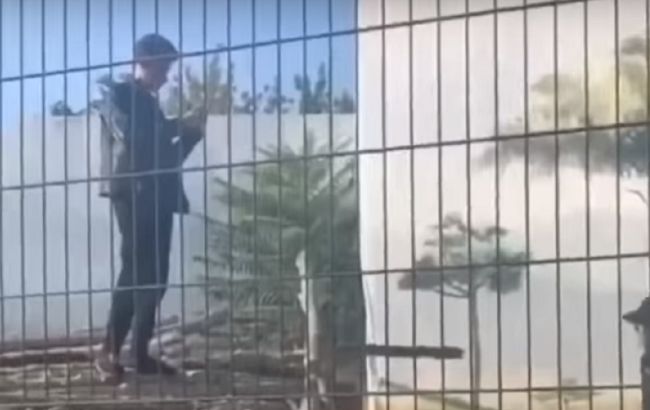 В Одессе нетрезвый мужчина залез в вольер со львами: видео инцидента