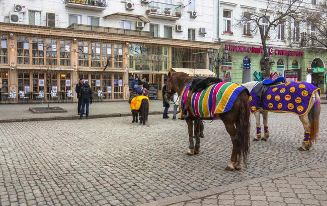 В Одесі після мітингу на захист тварин з вулиць зникли прокатники коней