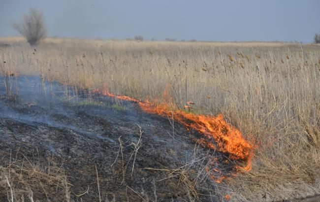 У Києві та області спостерігається пожежна небезпека