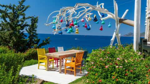 Без ПЛР-тестів і суворих правил: в яких країнах відпочити влітку стане значно простіше