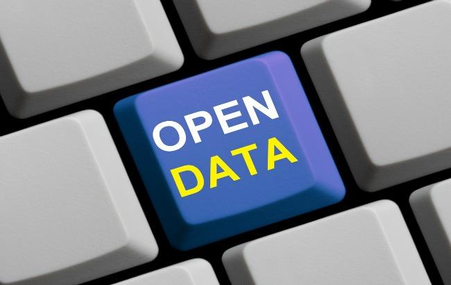 Сервис мониторинга реестров OpenDataBot просит Кабмин открыть госданные