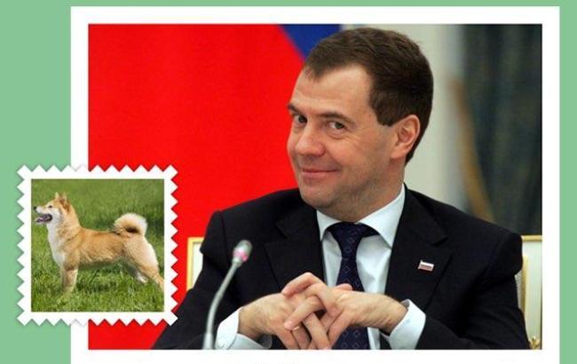 Каким породам собак соответствуют мировые лидеры