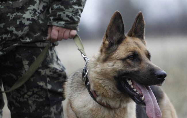У Вінницькій області затримали молдованина, якого розшукує Інтерпол