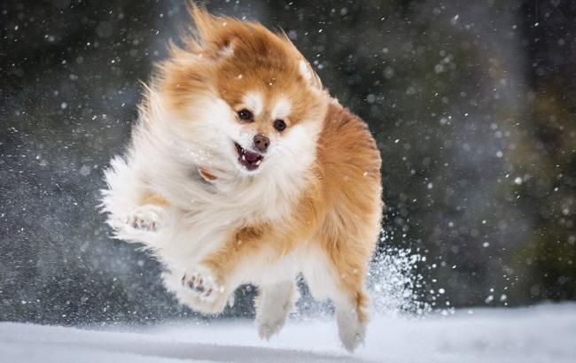 Погода на сегодня: в Украине снег, температура опустится до -17