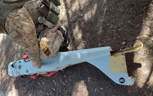 Сили ППО збили російський дрон "Орлан-10" в Миколаївській області