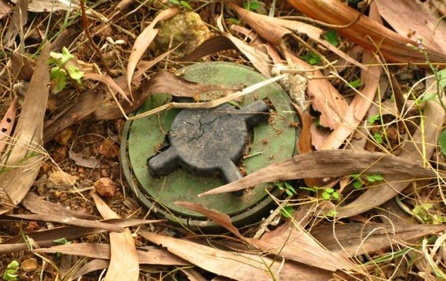 На Донбассе боевики используют запрещенные мины, - разведка