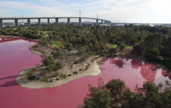В Австралії з'явилося рожеве озеро