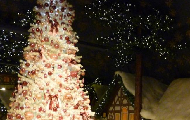 Зимняя сказка на ВДНХ: северные олени и резиденция Деда Мороза