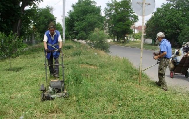В Киеве коммунальщиков будут штрафовать за некошеные газоны