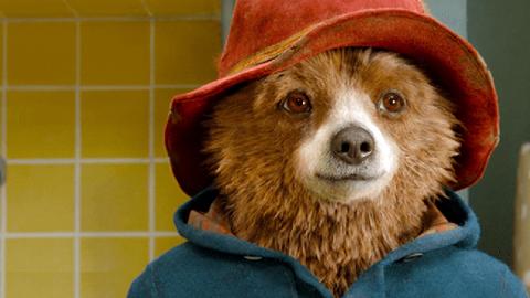 "Замість кричати - посміхнешся": розкрито секрет популярності ведмедика Паддінгтона