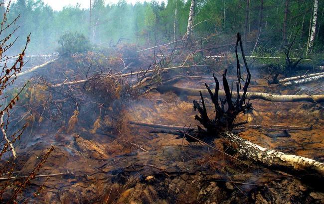 В Черниговской области осуществляется тушение очагов тления торфа на площади около 51,55 га