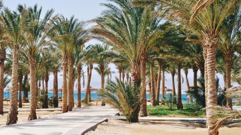 Тури стрімко дешевшають: Єгипет у вересні дивує низькими цінами на відпочинок