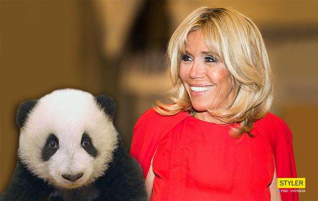 Первая леди Франции стала "крестной" для первой новорожденной панды в стране