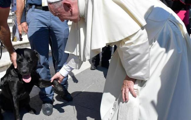 Папа Римський потиснув лапу собаці, який врятував дитину