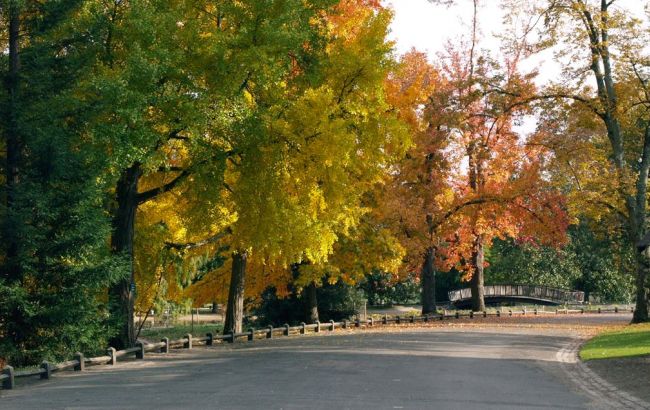 Погода на сьогодні: в Україні місцями дощі, температура до +36