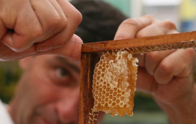 Російські бджолярі виступають за обмеження імпорту європейських солодощів