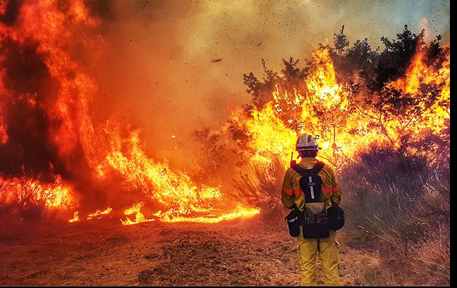 На півдні Європи спалахнули лісові пожежі