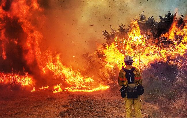 Лісові пожежі в Португалії: у вогняній пастці, заблоковані 2 тис. осіб