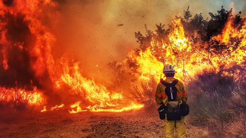 В Греции в результате поджога произошел лесной пожар