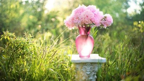 27 травня: свята і важливі події на цей день