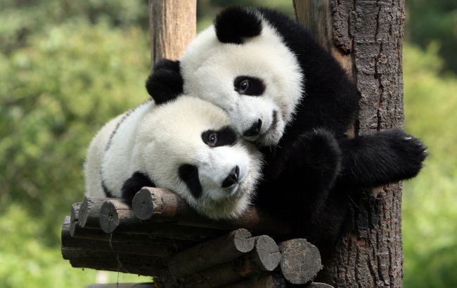 Погода на завтра: на большей части Украины без осадков, температура до +30