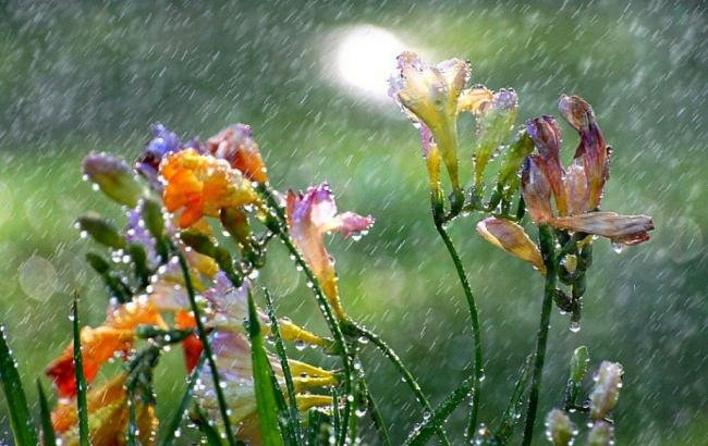 Погода на сьогодні: на південному сході України дощі з грозами, температура до +21