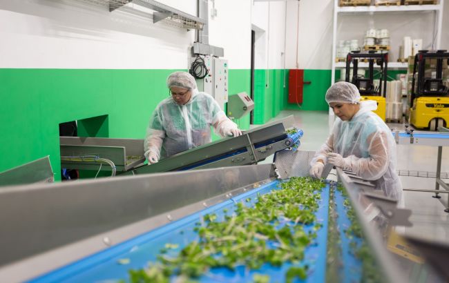 На какую зарплату соглашаться беженцам. Шесть советов о работе за рубежом