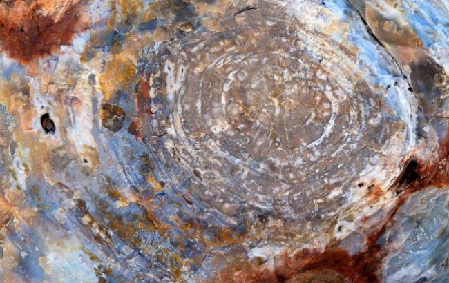 В Австралії знайдено найдавніші сліди життя на Землі