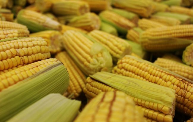 Окультурення значно їх змінило: як раніше виглядали популярні овочі й фрукти (відео)