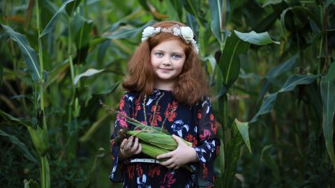 Експерт назвала кращі сезонні продукти для зміцнення імунітету