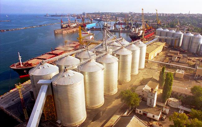 Виробництво сільгосппродукції за 9 місяців зросло на 4,9%