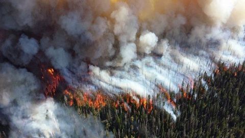 Російські військові загасили пожежі в Сибіру на понад 700 тис. гектарів