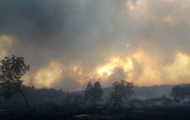 Пожар в Харьковской области: в двух населенных пунктах ликвидировали огонь