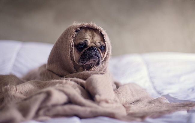 Експерти поділилися дієвими методами, як подолати відчуття тривоги