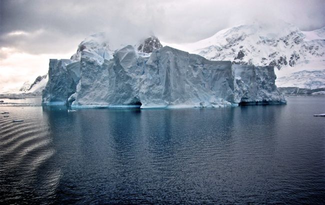 "Ситуация резко меняется". Ученый предупредил об угрозе для природы Антарктики от избытка туристов