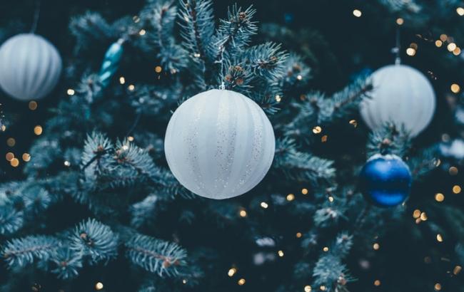 Выбрана самая красивая рождественская елка в Европе