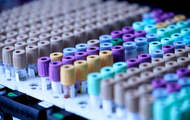 У Єгипті знизили вартість ПЛР-тестів для туристів: яку ціну встановили