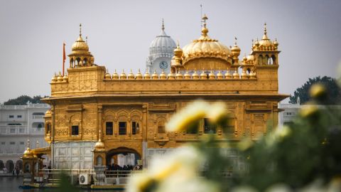 Захворіло 70% пасажирів. Більшість туристів на рейсі до Індії виявили COVID