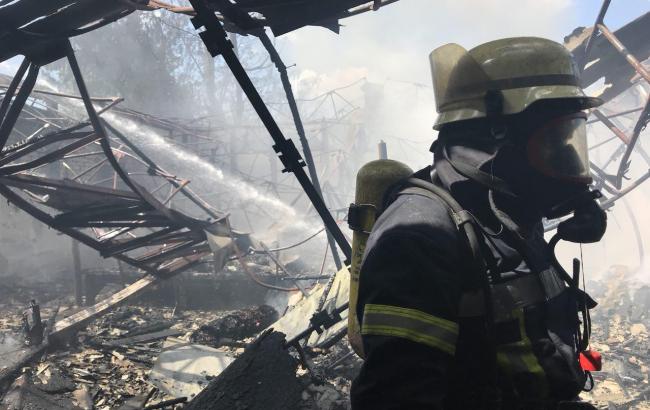 Пожежу у Гідропарку ліквідовано, - ДСНС