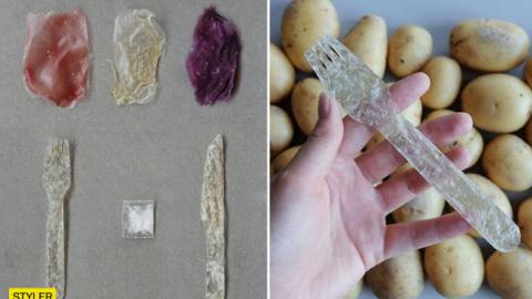 Незвичайна розробка: студент створив пластик з картоплі