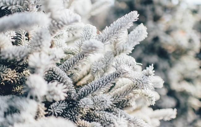 Синоптик предупредила украинцев об осадках и сильном ветре