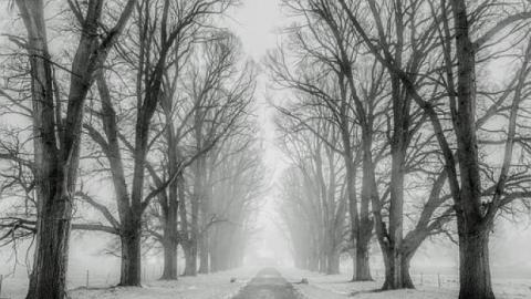 Разница в 20 градусов:&nbsp;украинцам рассказали о&nbsp;погоде&nbsp;29 декабря