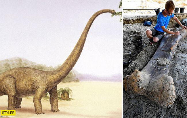 Найбільший звір в історії: вчені шоковані несподіваною знахідкою (фото)