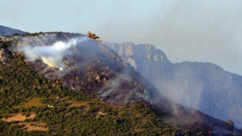 У Греції оголосили масову евакуацію через лісові пожежі